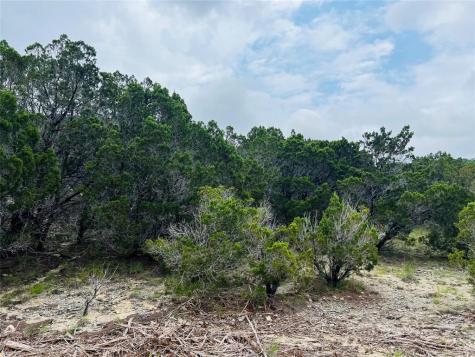 21603 Wyoming Pass Lago Vista TX 78645