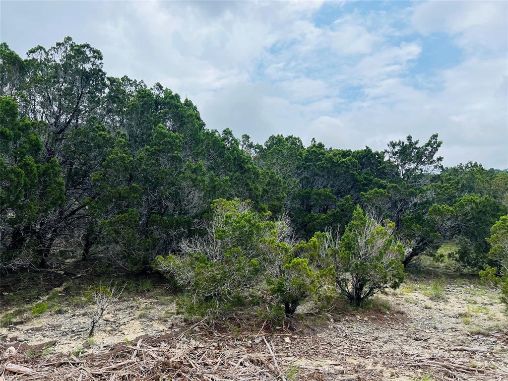 21603 Wyoming Pass Lago Vista TX 78645