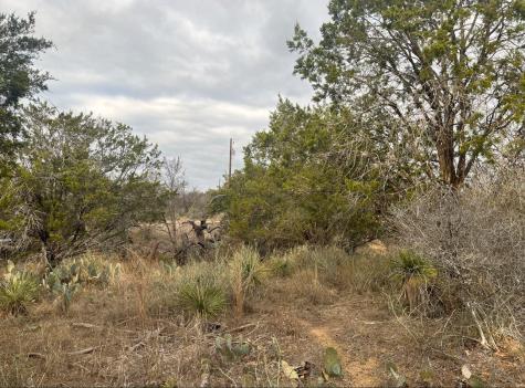 Lot 261 W Briarway Drive Granite Shoals TX 78654