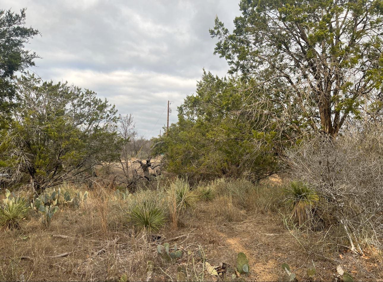 Lot 261 W Briarway Drive Granite Shoals TX 78654