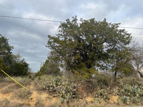 Lot 261 W Briarway Drive Granite Shoals TX 78654