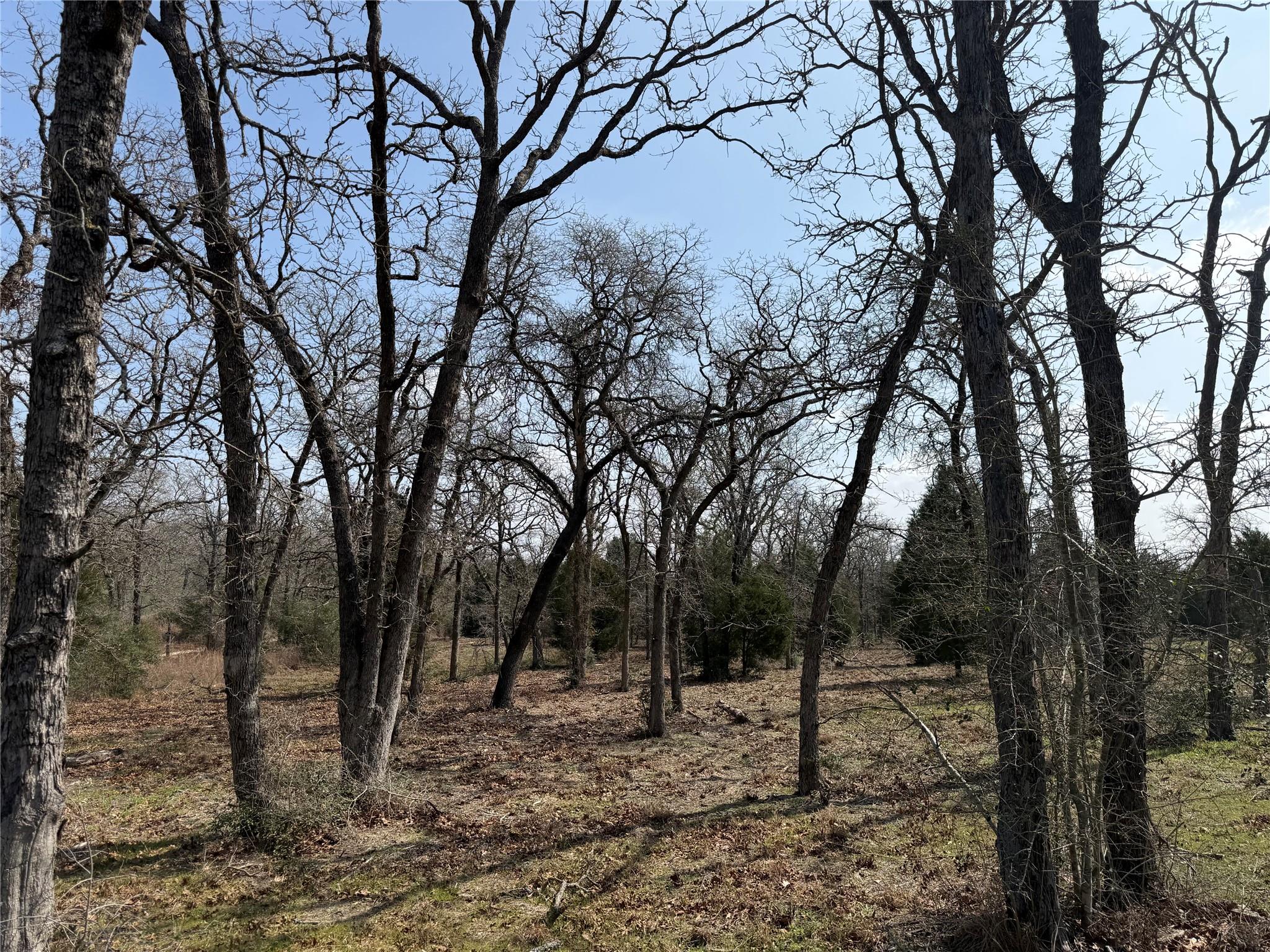 Tbd N County Line Road Elgin TX 78621