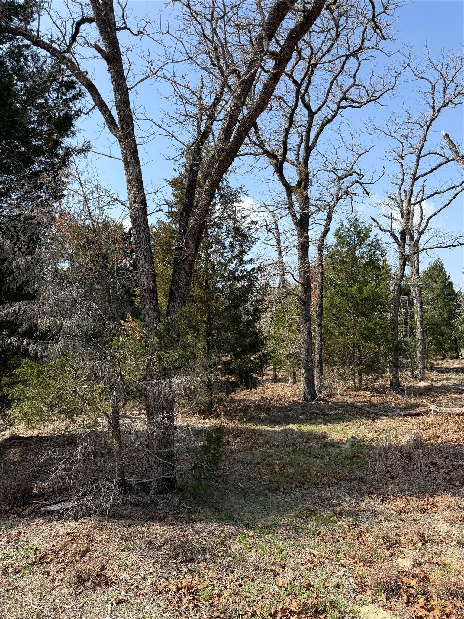 Tbd N County Line Road Elgin TX 78621