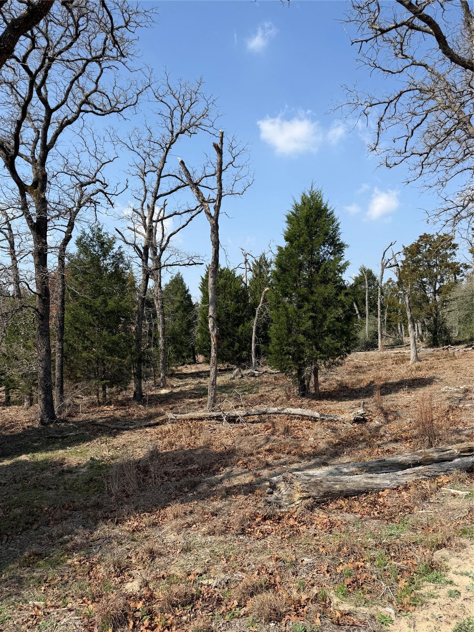 Tbd N County Line Road Elgin TX 78621