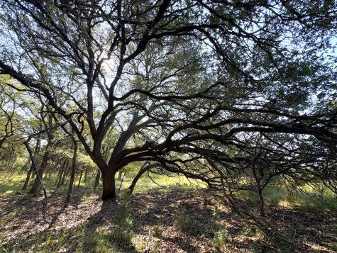 Tbd Lot 3 Sandy Mountain Sunrise Beach TX 78643