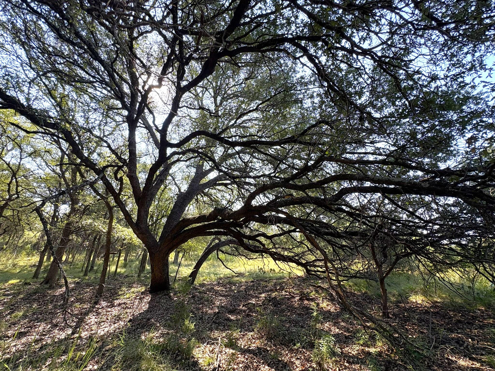 Tbd Lot 3 Sandy Mountain Sunrise Beach TX 78643