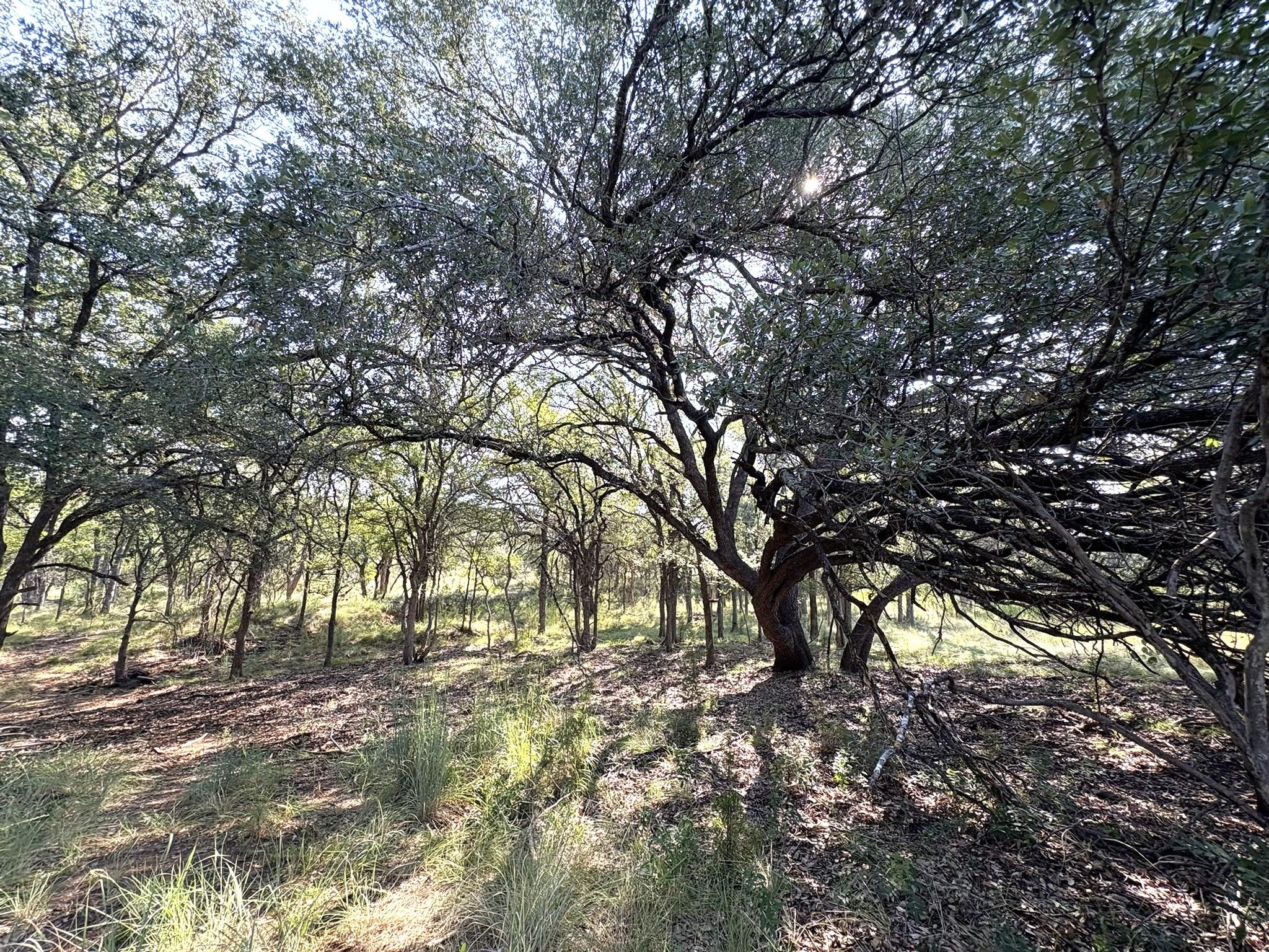 Tbd Lot 3 Sandy Mountain Sunrise Beach TX 78643
