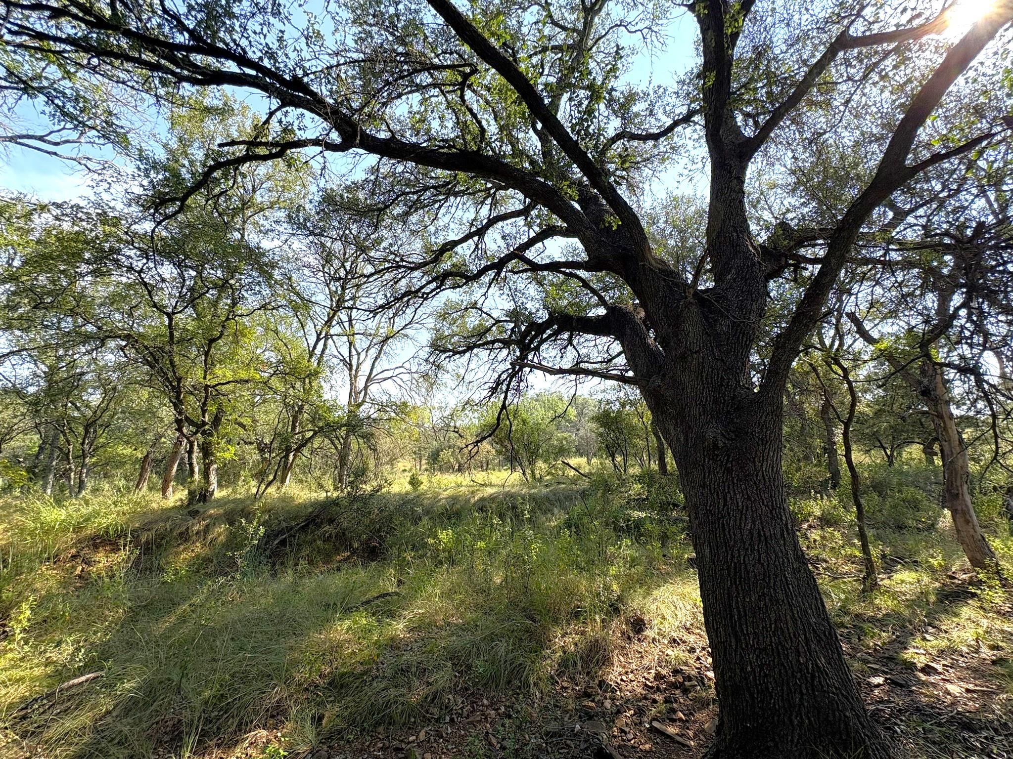 Tbd Lot 3 Sandy Mountain Sunrise Beach TX 78643