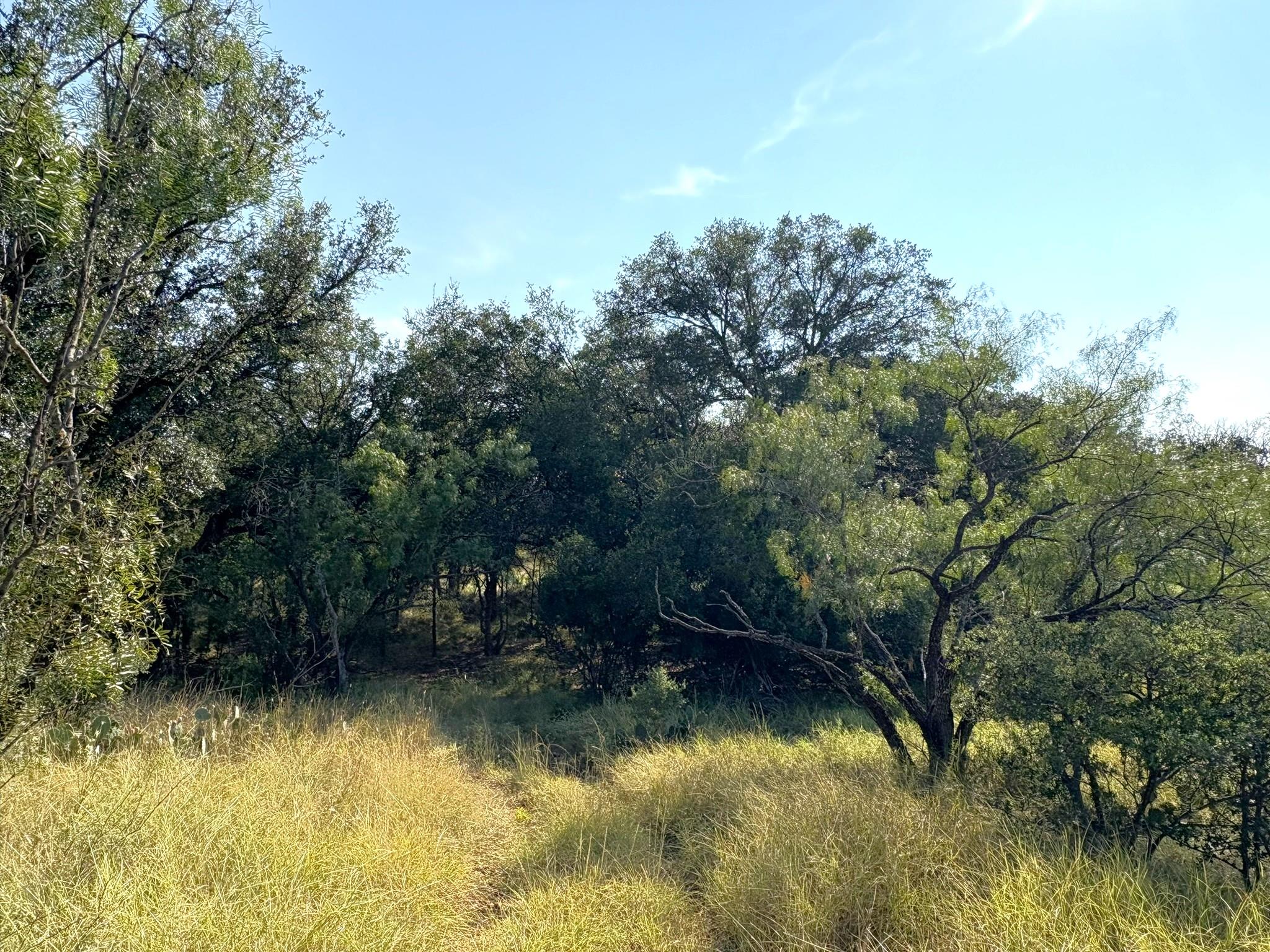 Tbd Lot 3 Sandy Mountain Sunrise Beach TX 78643