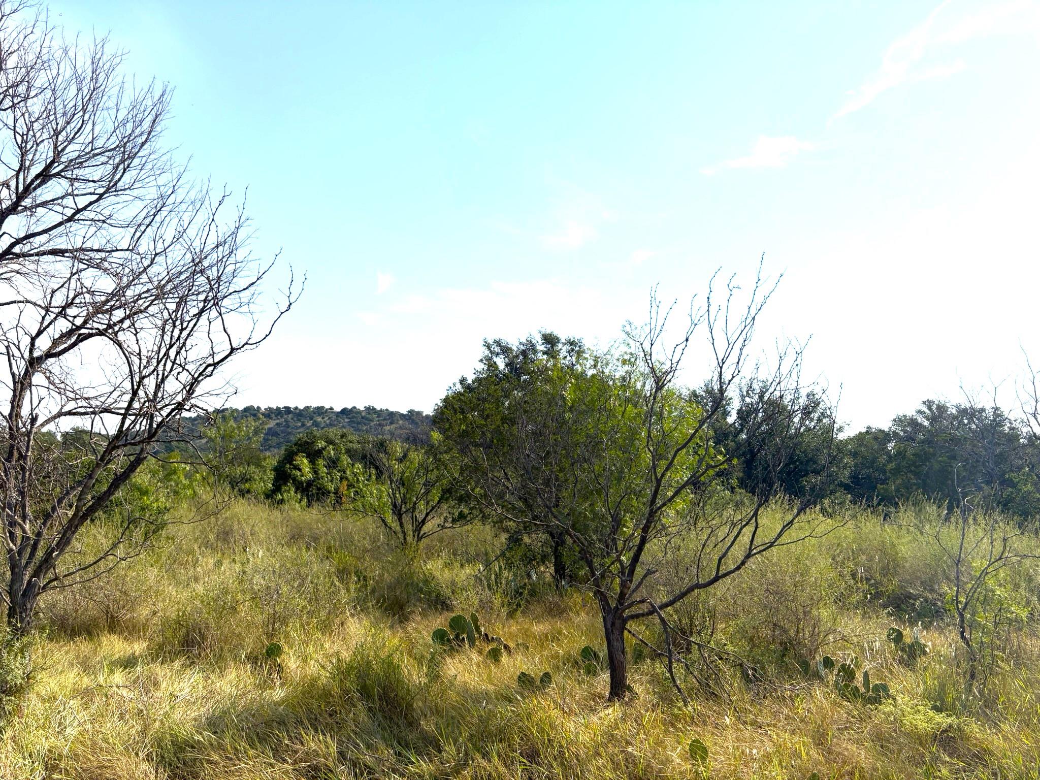 Tbd Lot 3 Sandy Mountain Sunrise Beach TX 78643