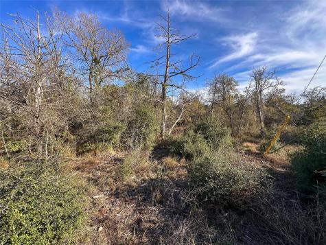 243 Hanauma Drive Bastrop TX 78602
