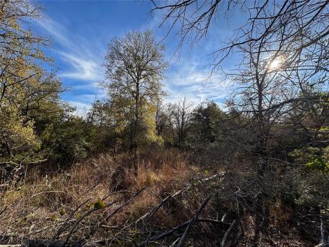 243 Hanauma Drive Bastrop TX 78602