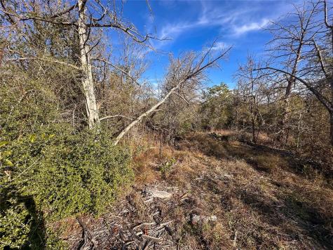 243 Hanauma Drive Bastrop TX 78602