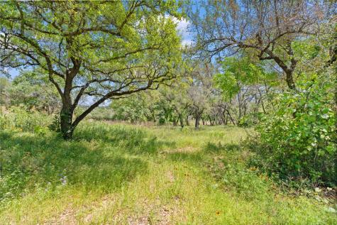 440 Ocate Mesa Trail Liberty Hill TX 78642