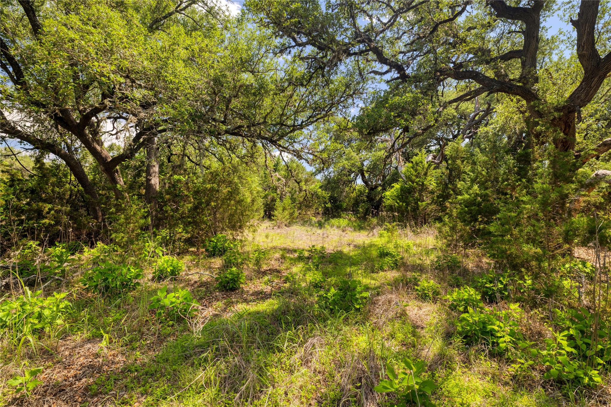 187 Beauchamp Road Dripping Springs TX 78620