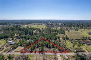 Tbd Cardinal Loop Paige TX 78659