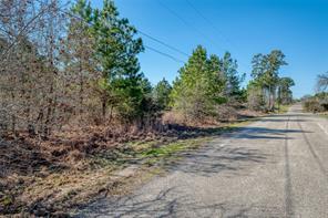 Tbd Cardinal Loop Paige TX 78659