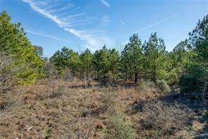 Tbd Cardinal Loop Paige TX 78659