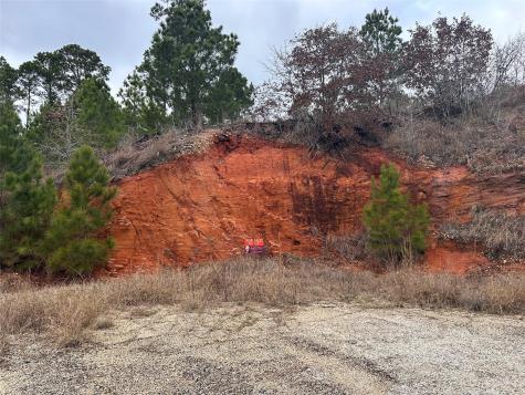 Lot 180 / R32273 Keo Kea Court Bastrop TX 78602