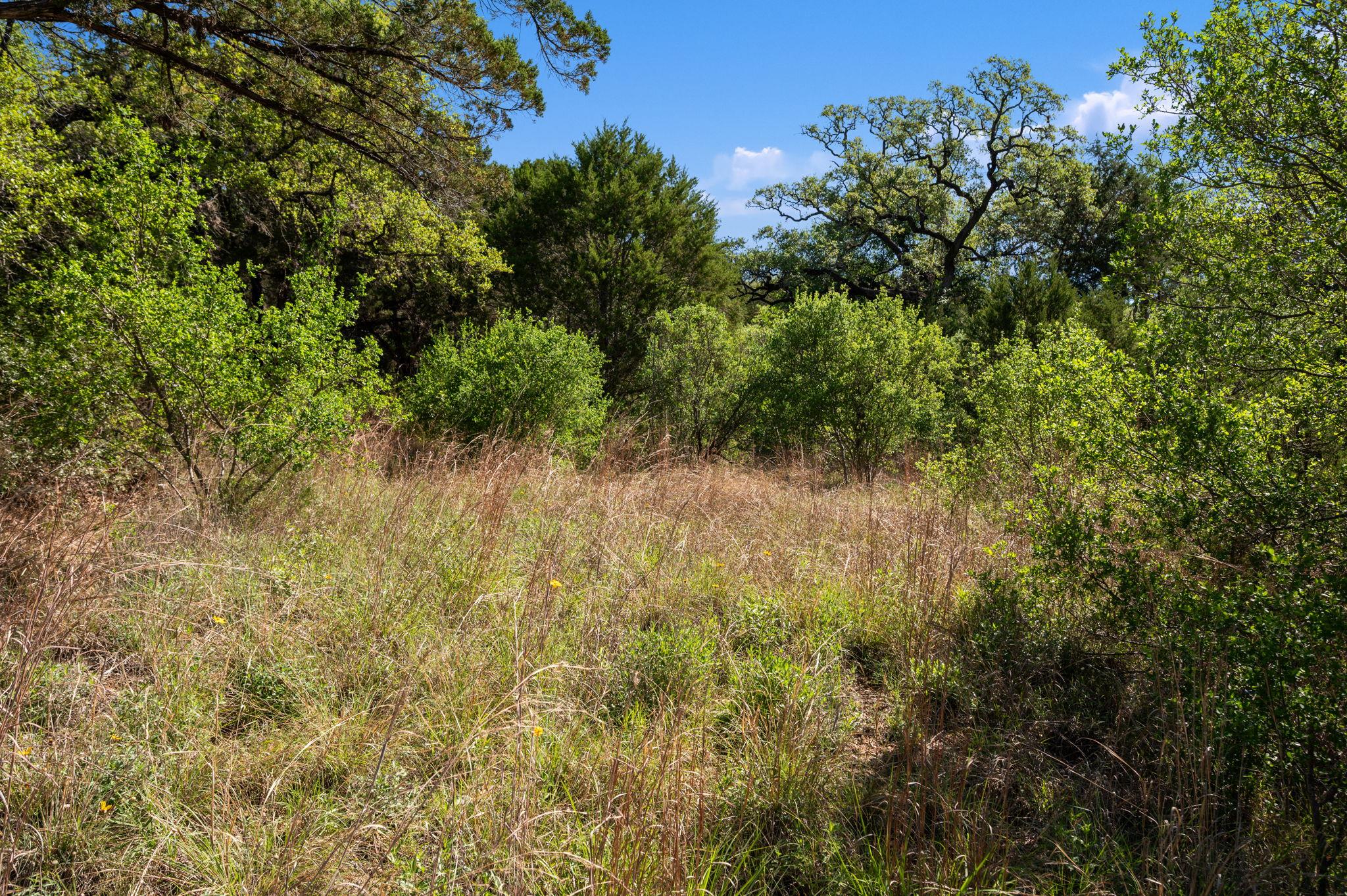 5909 Shaw Drive Marble Falls TX 78654