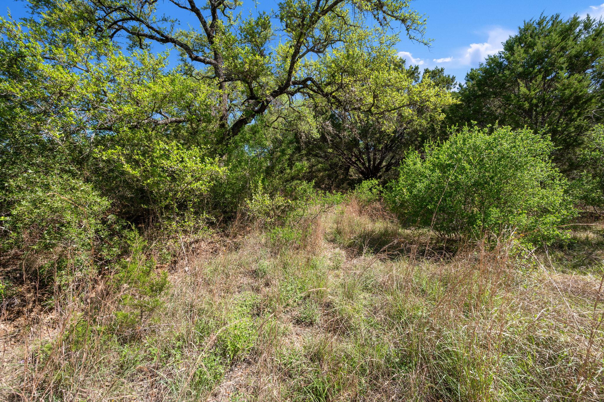 5909 Shaw Drive Marble Falls TX 78654