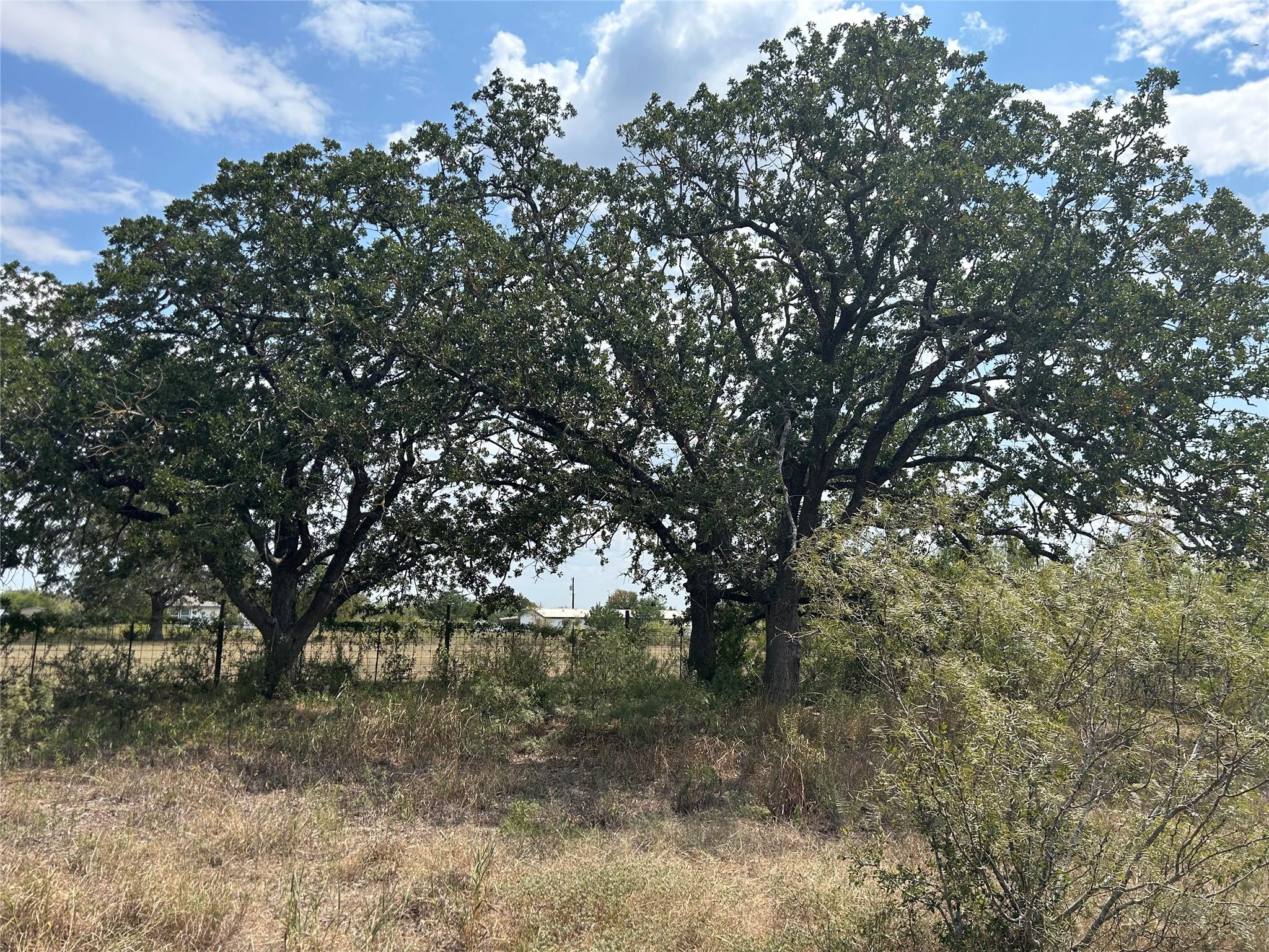 303 Walter Hoffman Road Cedar Creek TX 78612