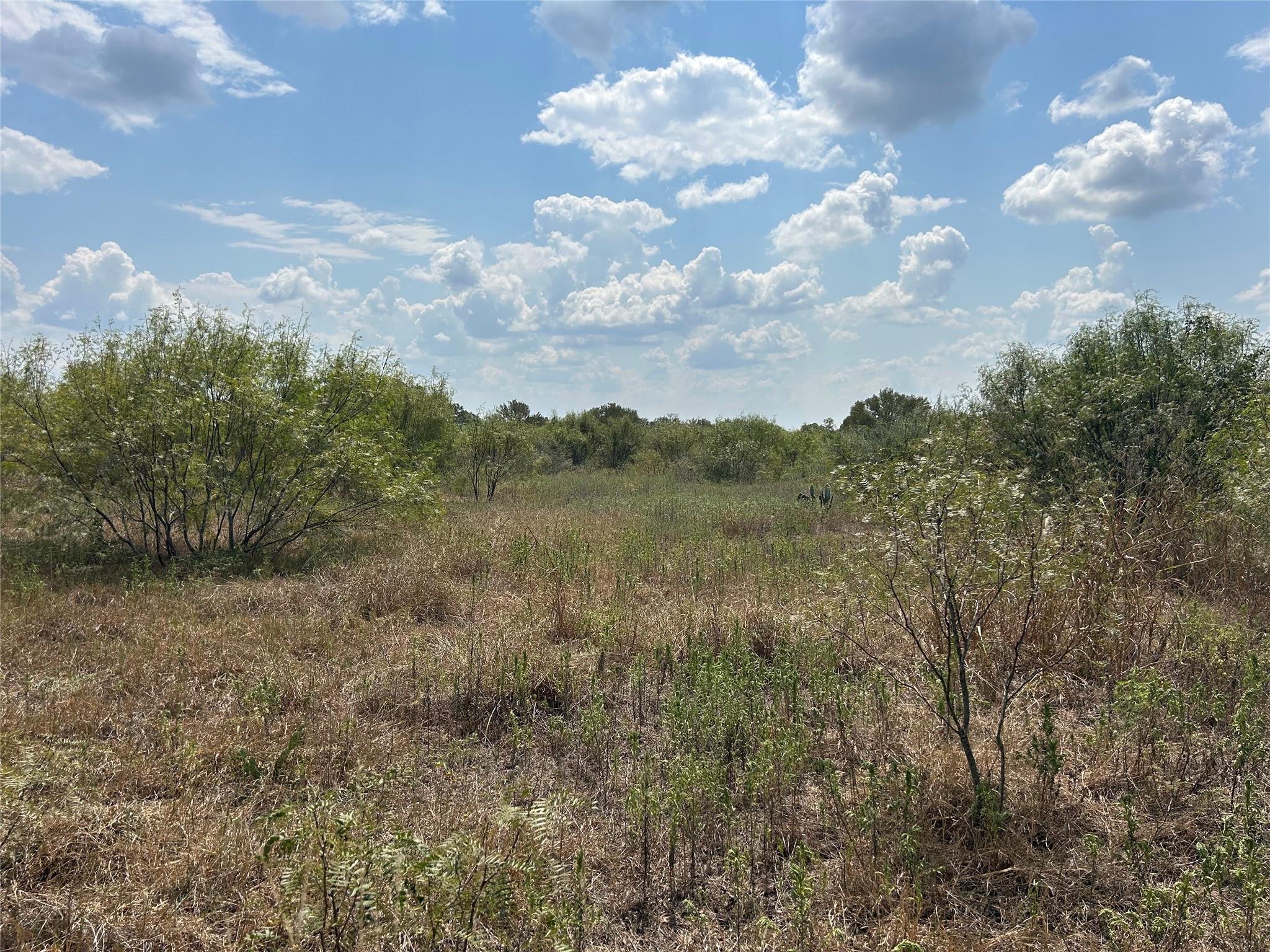 303 Walter Hoffman Road Cedar Creek TX 78612