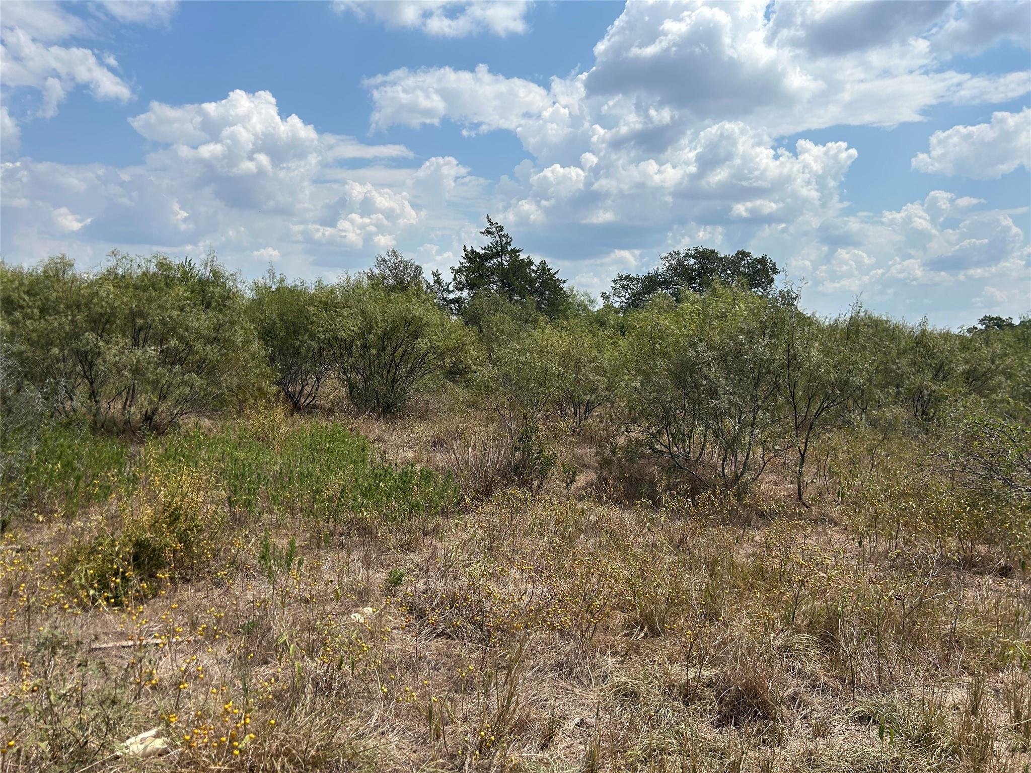 303 Walter Hoffman Road Cedar Creek TX 78612