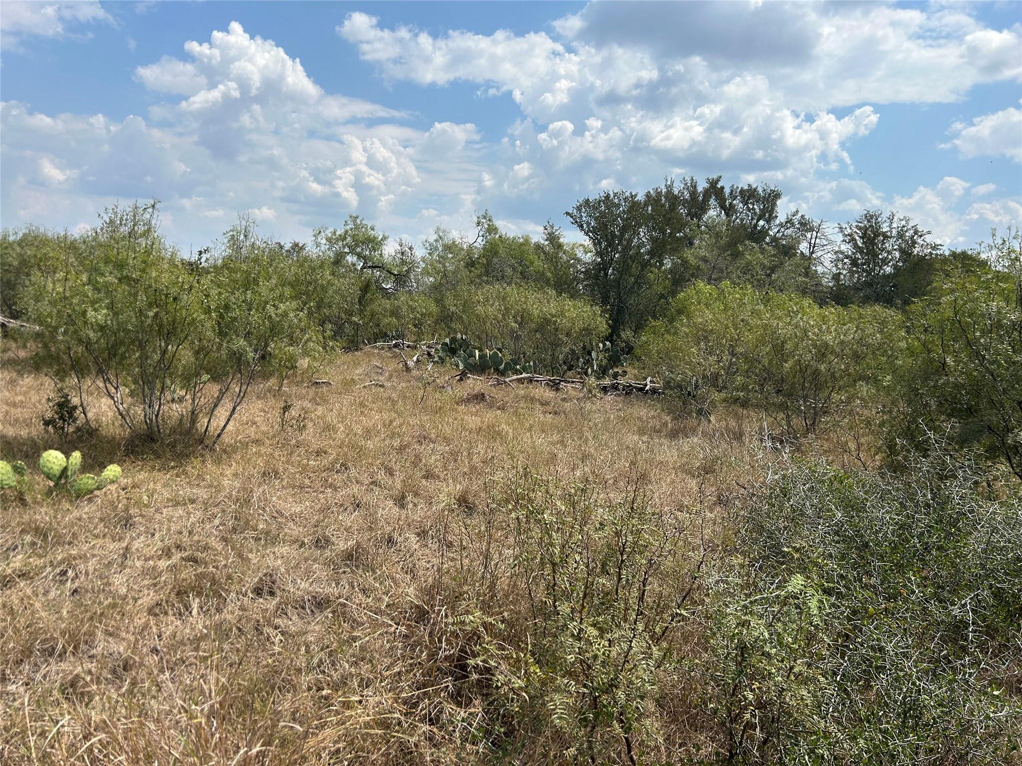 303 Walter Hoffman Road Cedar Creek TX 78612