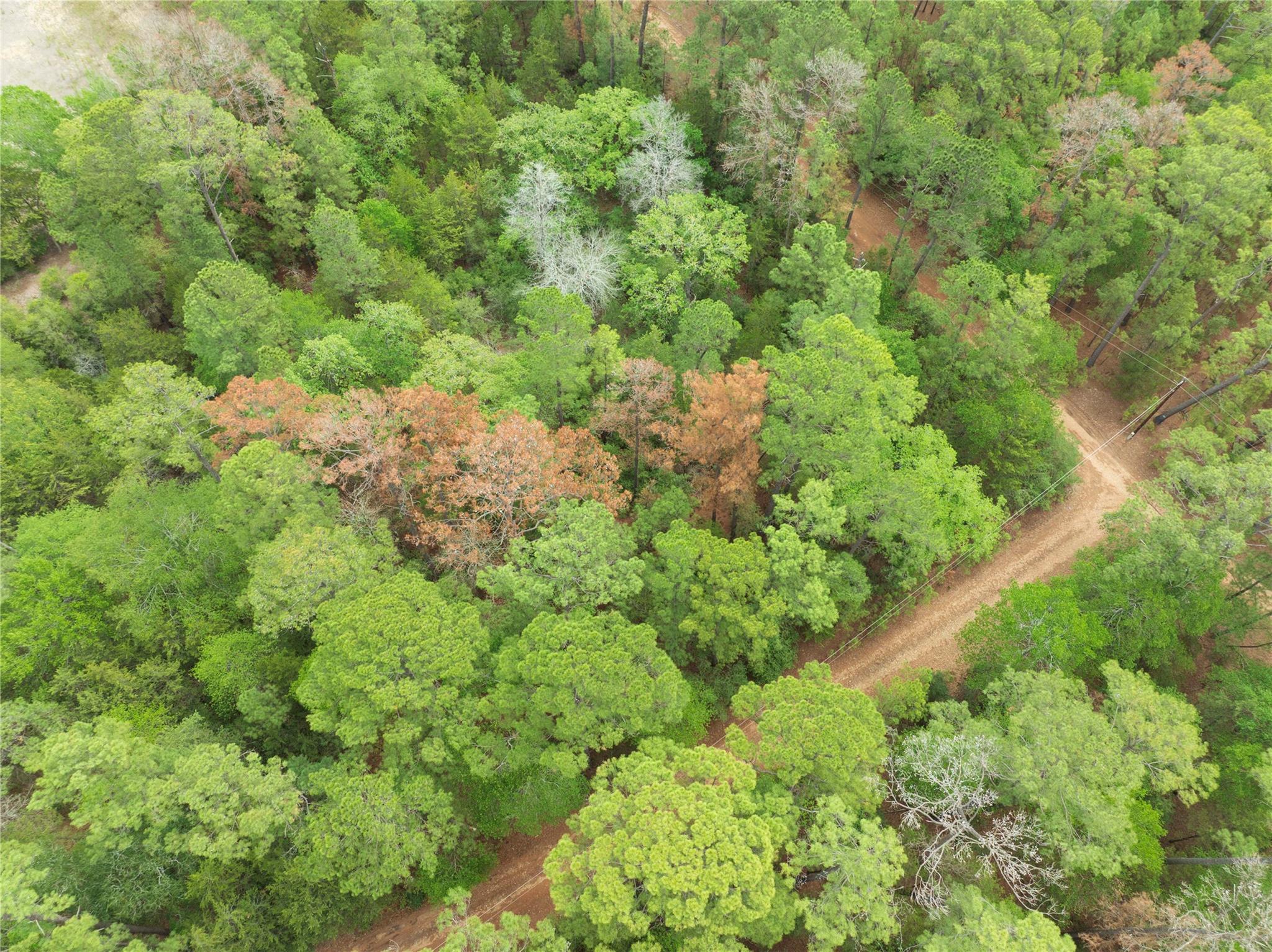 Tbd Red Fox Road La Grange TX 78945
