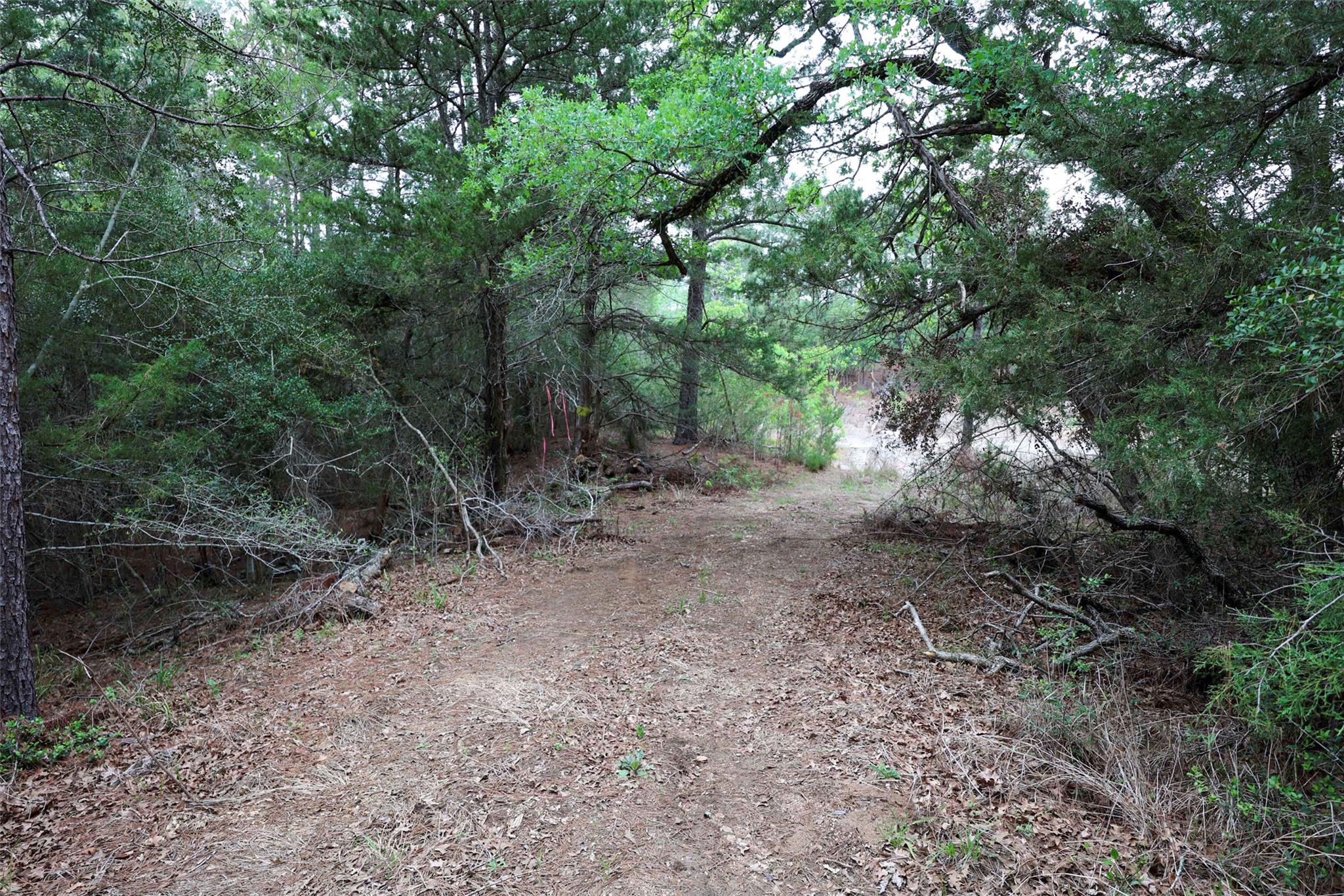 Tbd Red Fox Road La Grange TX 78945