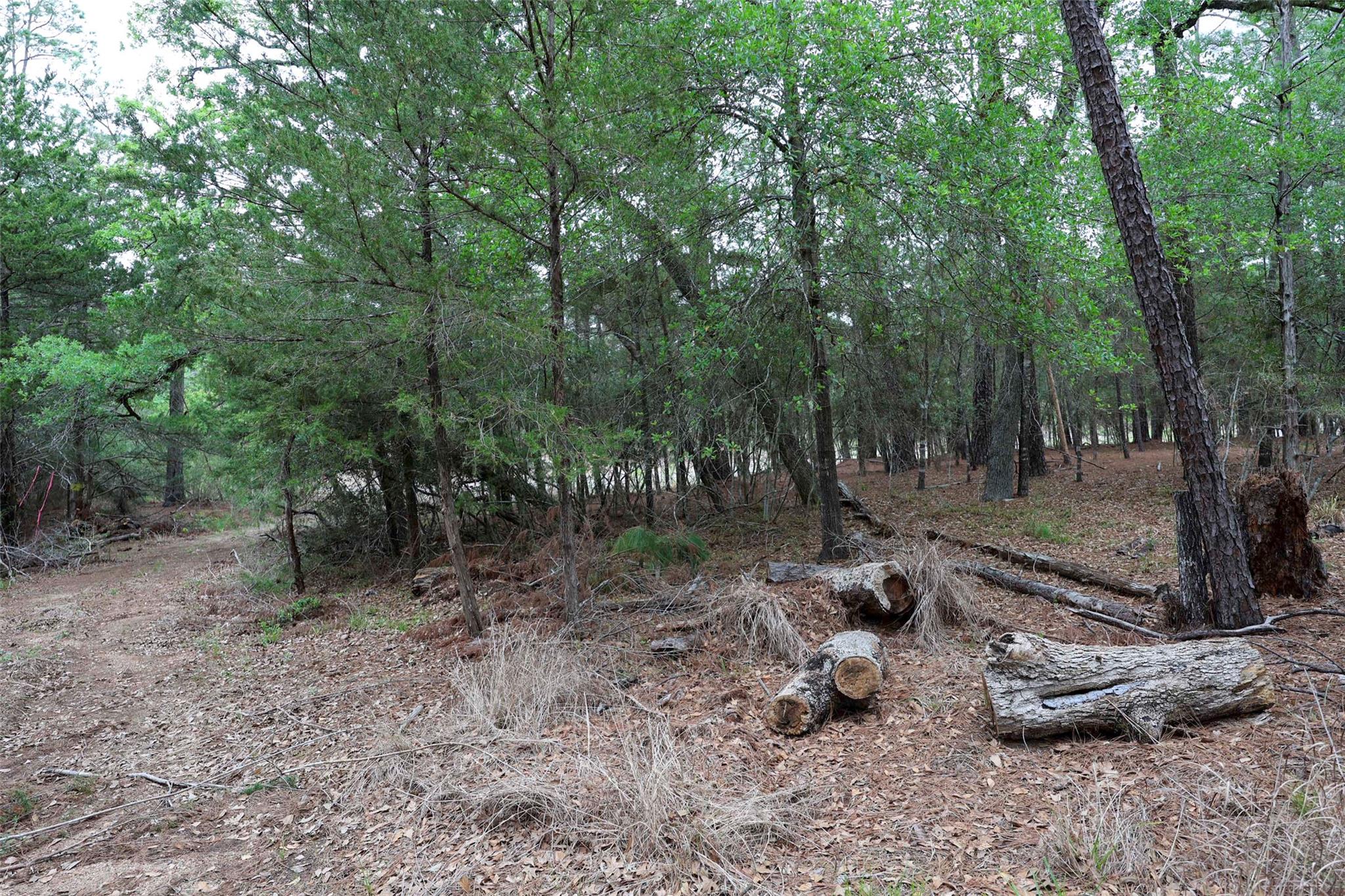 Tbd Red Fox Road La Grange TX 78945