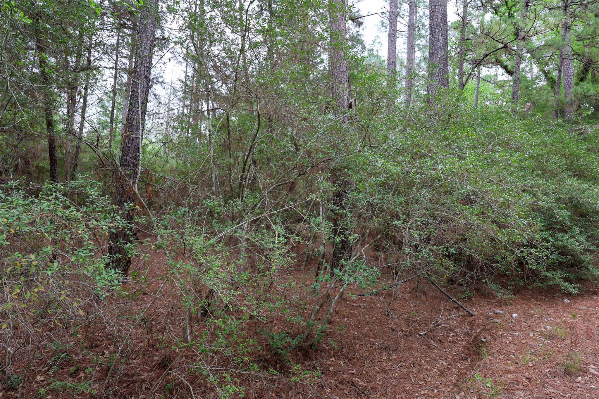 Tbd Red Fox Road La Grange TX 78945