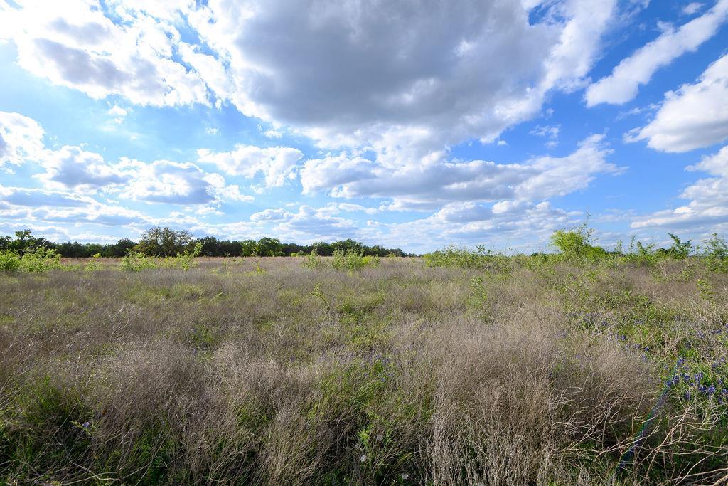 177 W Rio Ranch Road Liberty Hill TX 78642