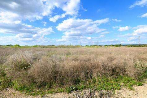 177 W Rio Ranch Road Liberty Hill TX 78642