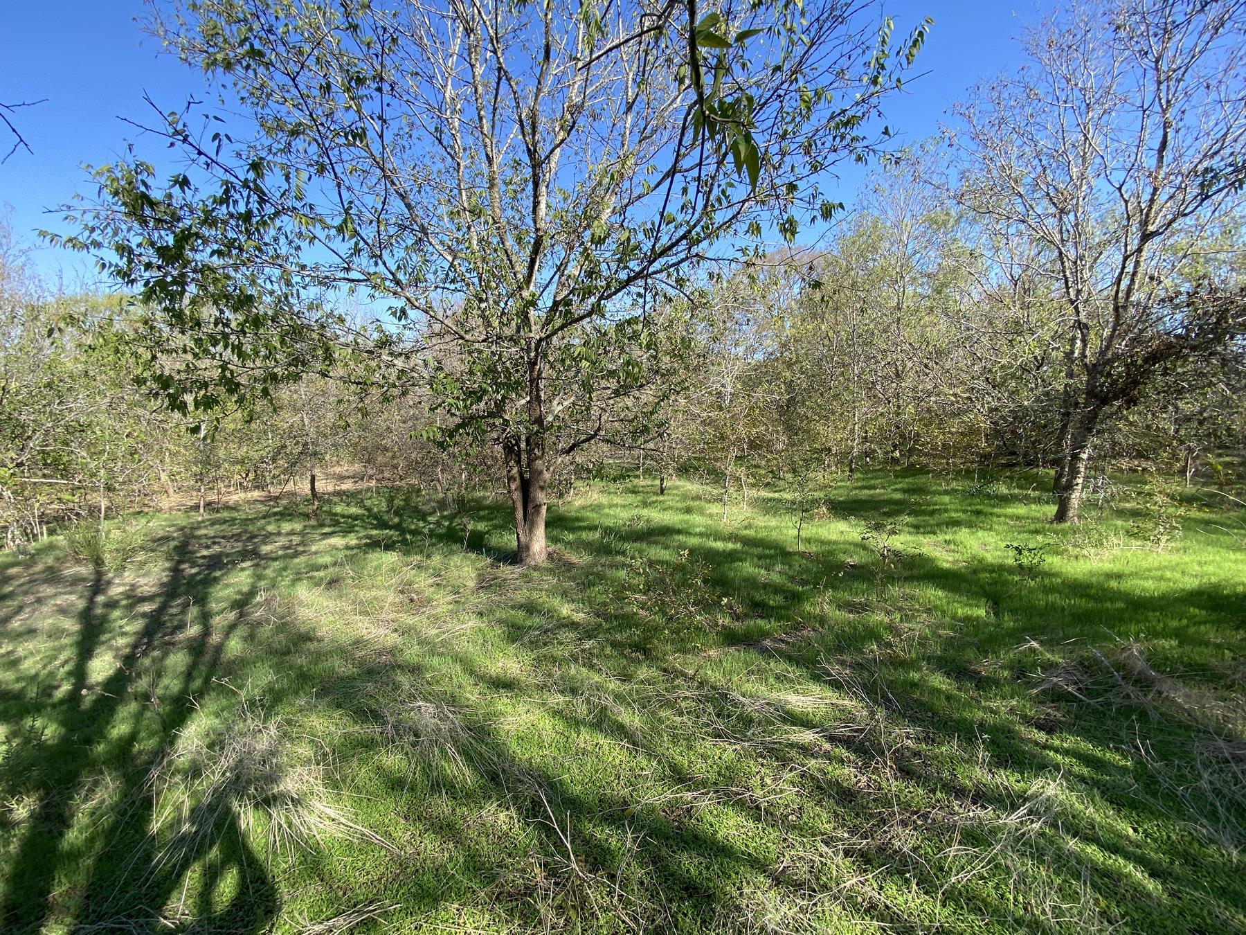 7603 Timber Hills Drive Del Valle TX 78617