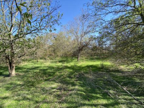 7603 Timber Hills Drive Del Valle TX 78617