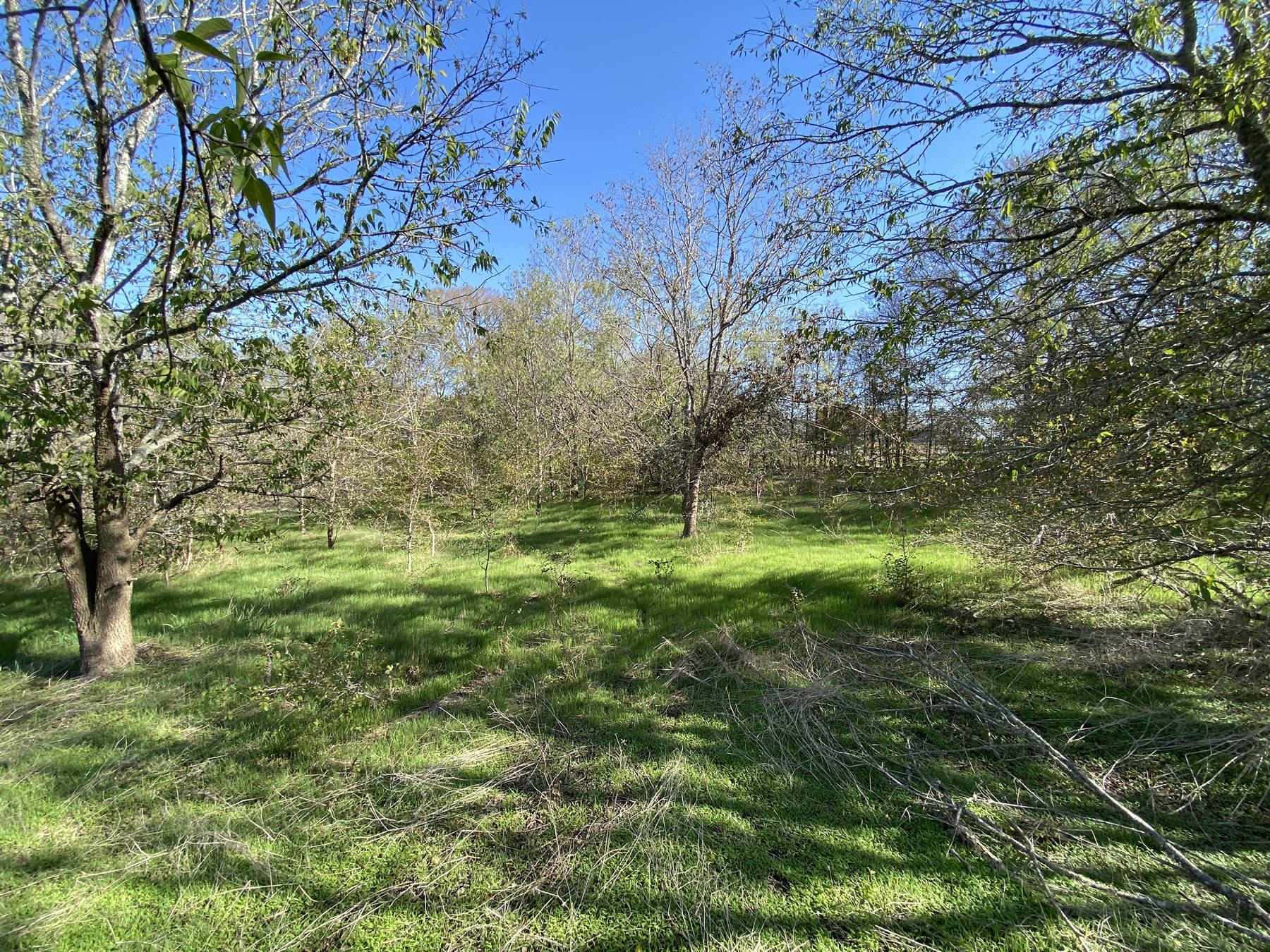 7603 Timber Hills Drive Del Valle TX 78617