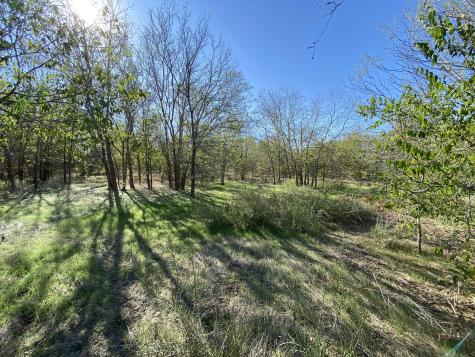 7603 Timber Hills Drive Del Valle TX 78617