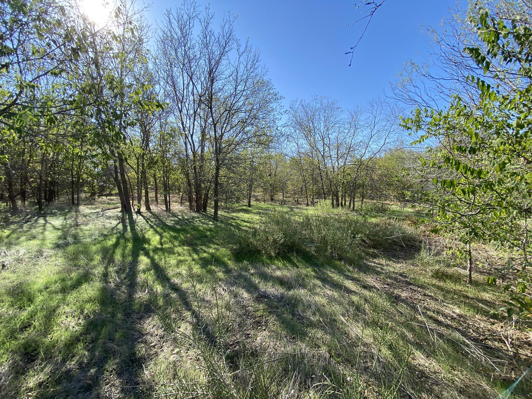 7603 Timber Hills Drive Del Valle TX 78617