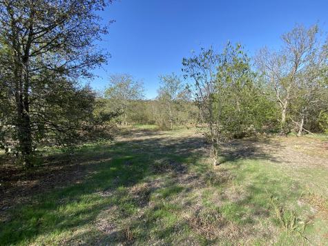 7603 Timber Hills Drive Del Valle TX 78617
