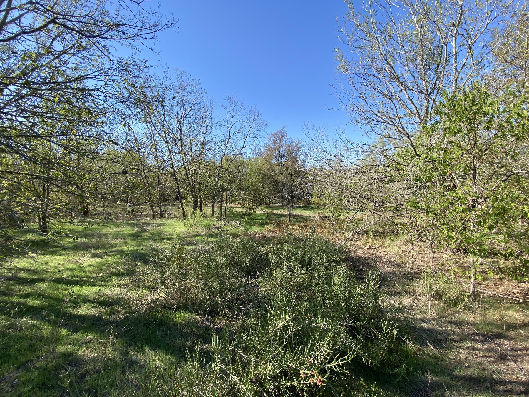 7603 Timber Hills Drive Del Valle TX 78617