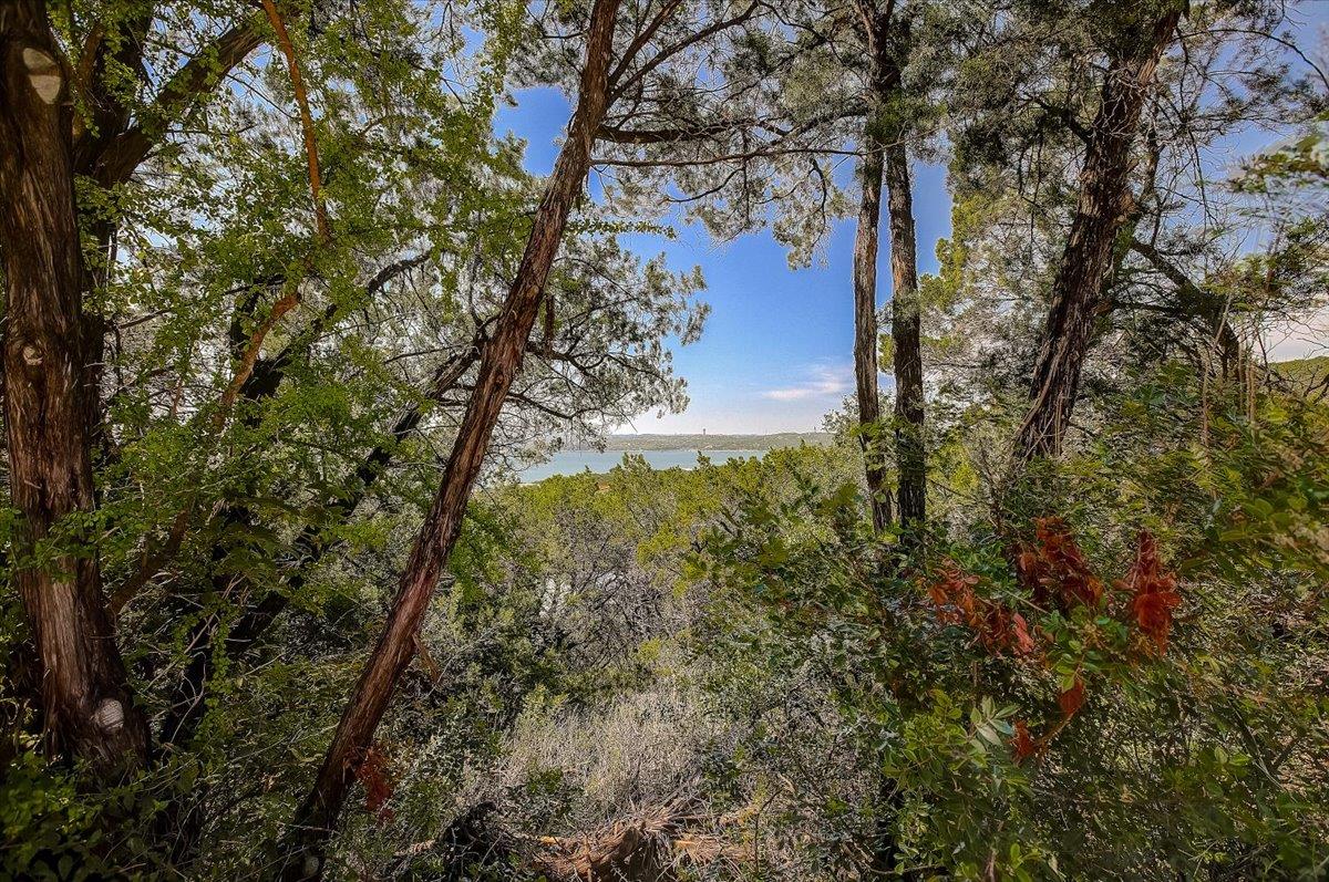 13908 Skyline Drive Austin TX 78732