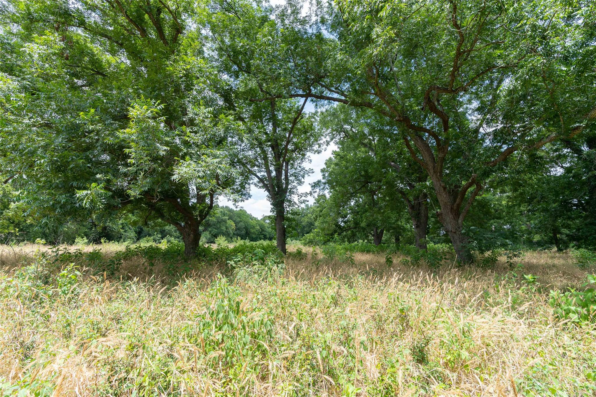 000 Fm 671 Luling TX 78648