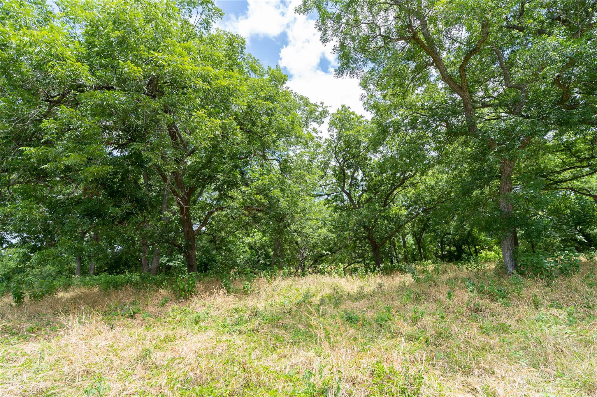 000 Fm 671 Luling TX 78648