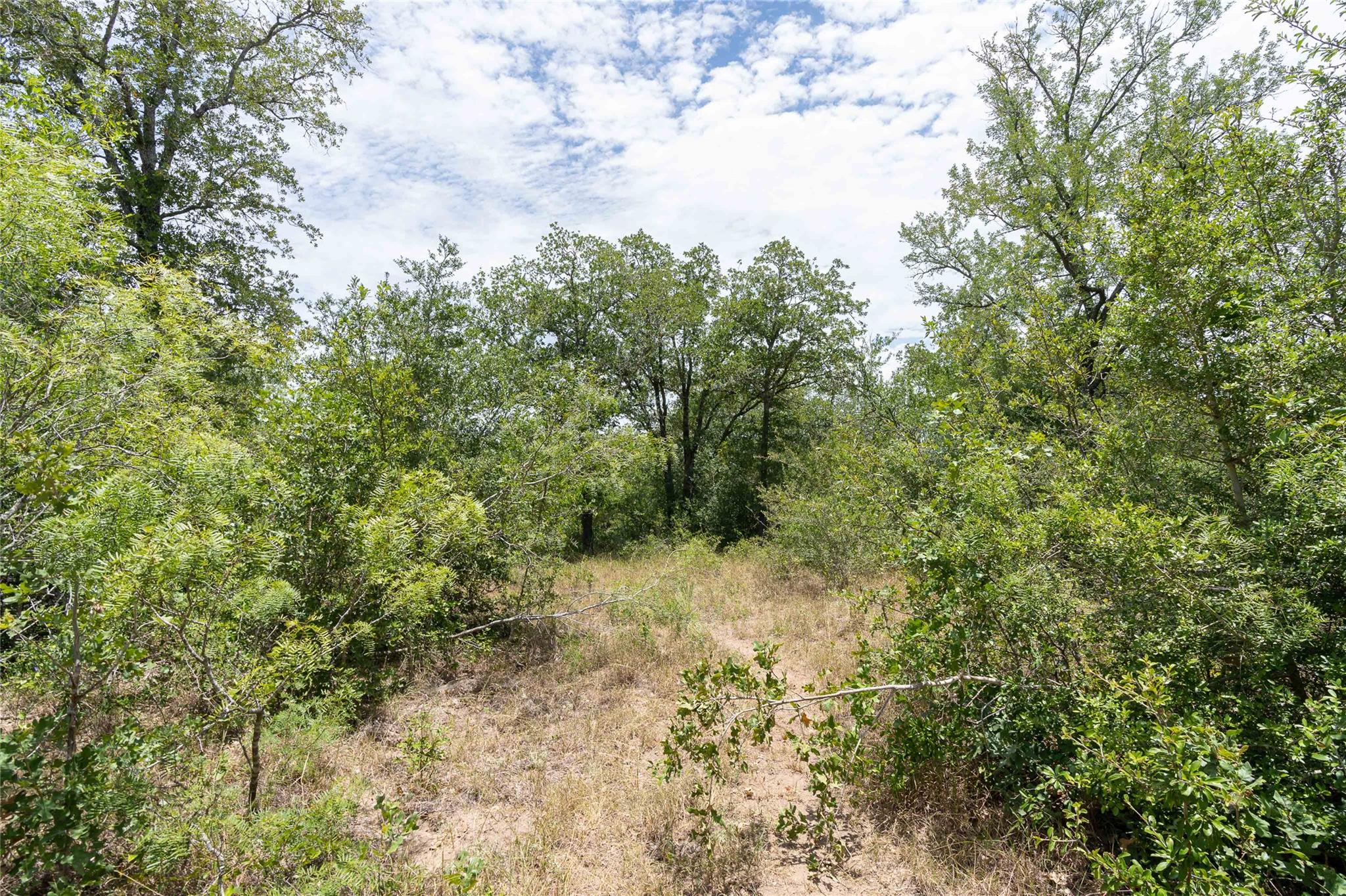 000 Fm 671 Luling TX 78648