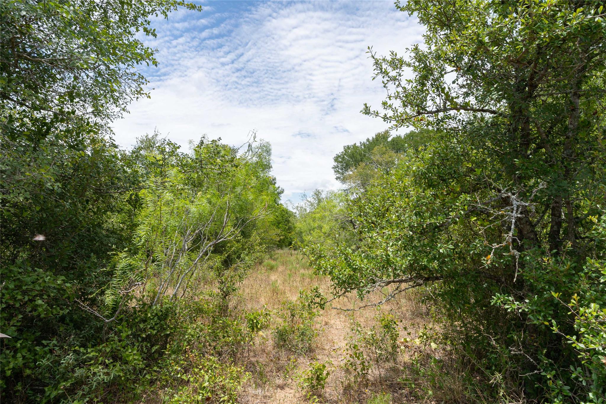 000 Fm 671 Luling TX 78648