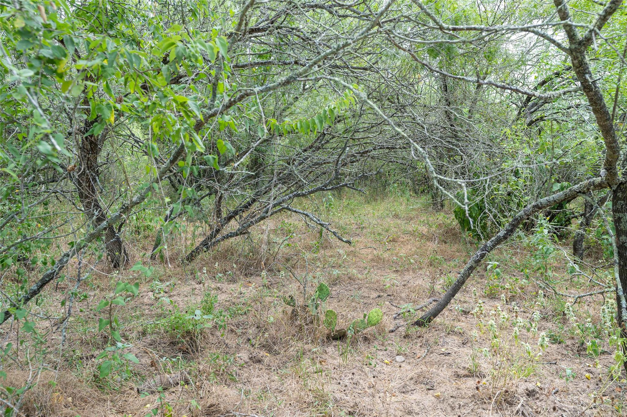 000 Fm 671 Luling TX 78648