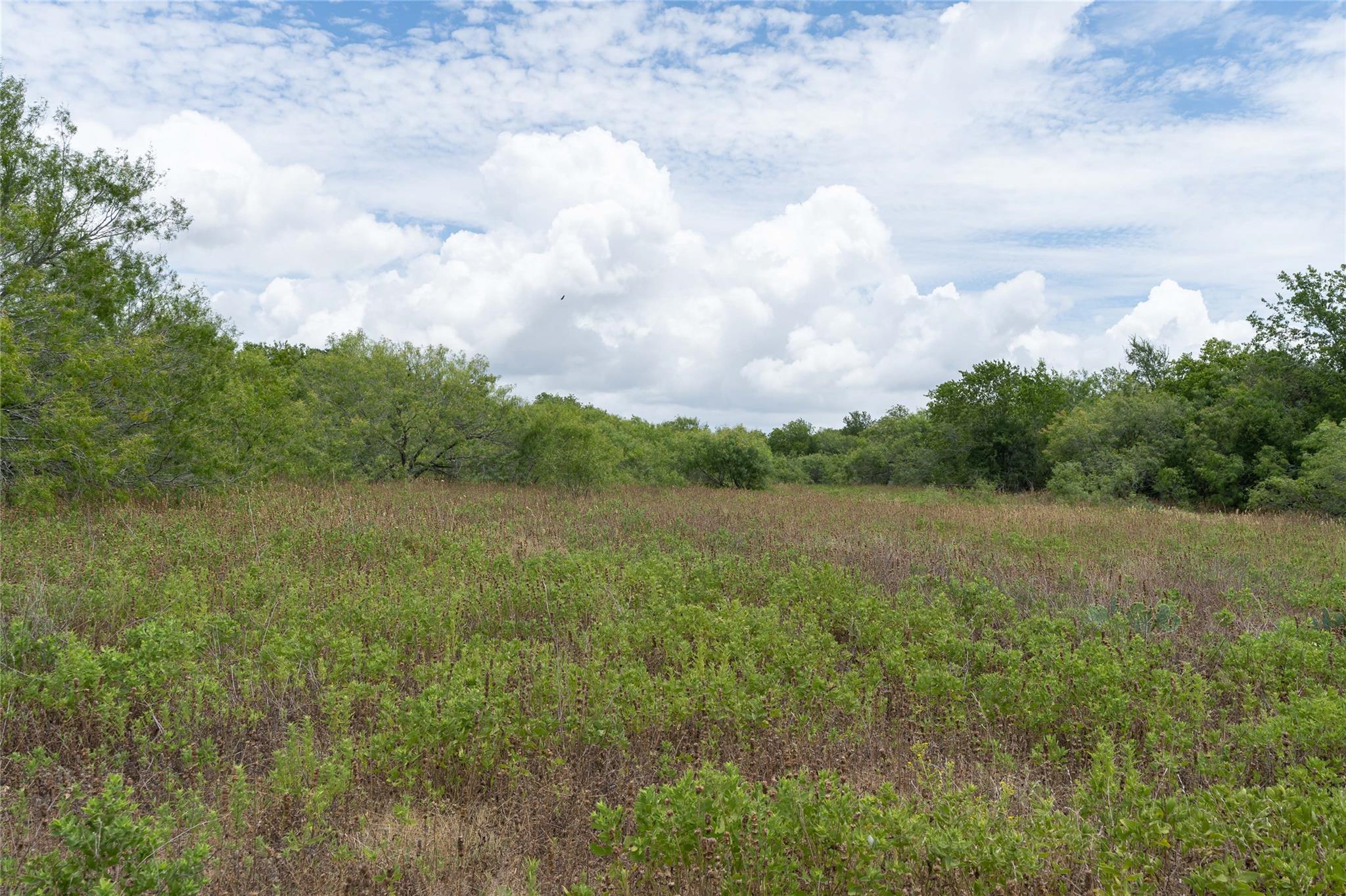 000 Fm 671 Luling TX 78648