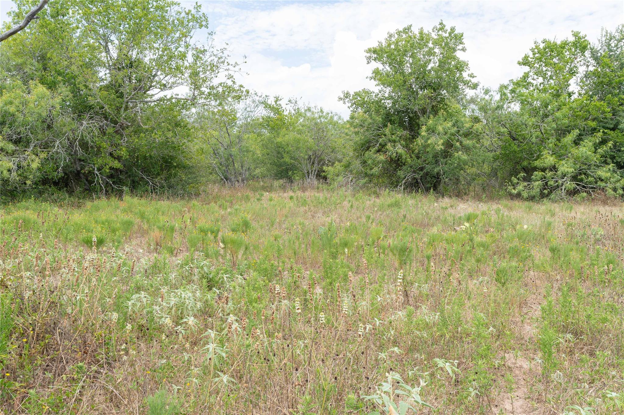 000 Fm 671 Luling TX 78648